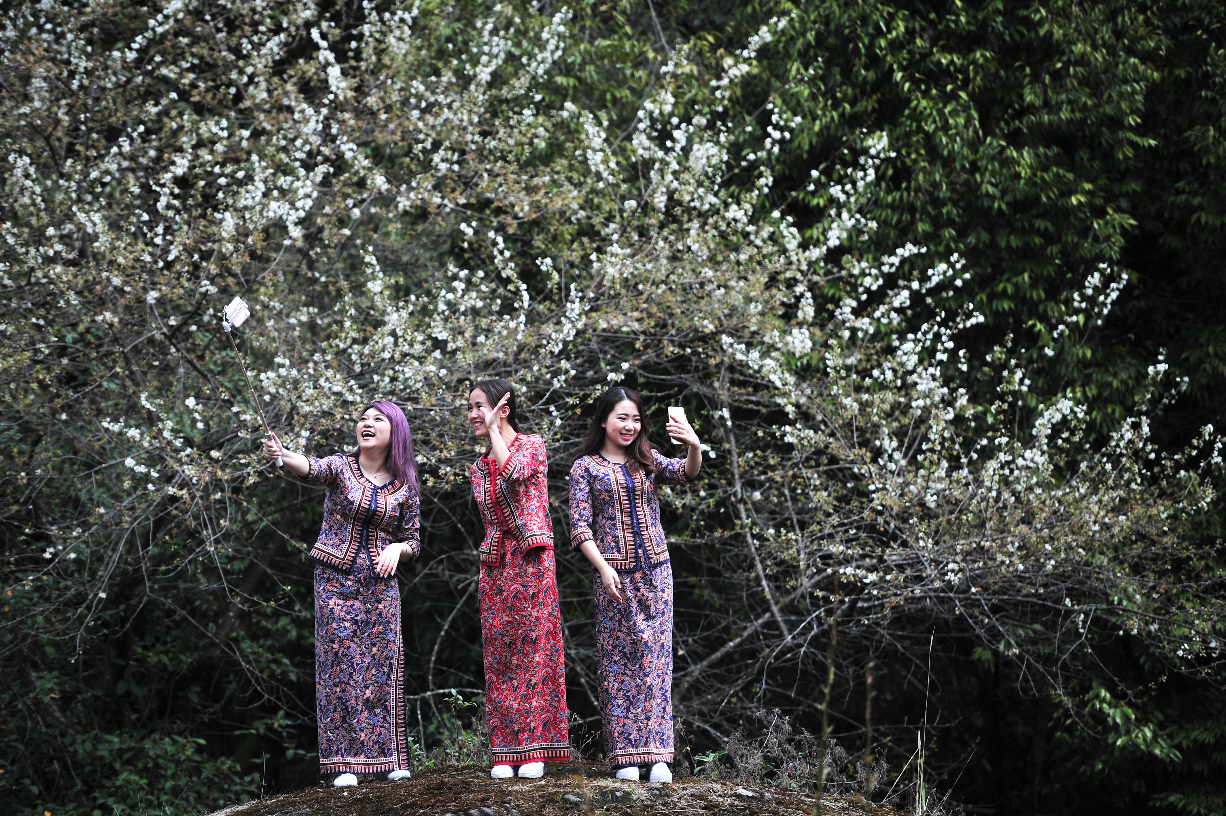 众多网红亮相腾冲 网络直播推介旅游 - 中新网