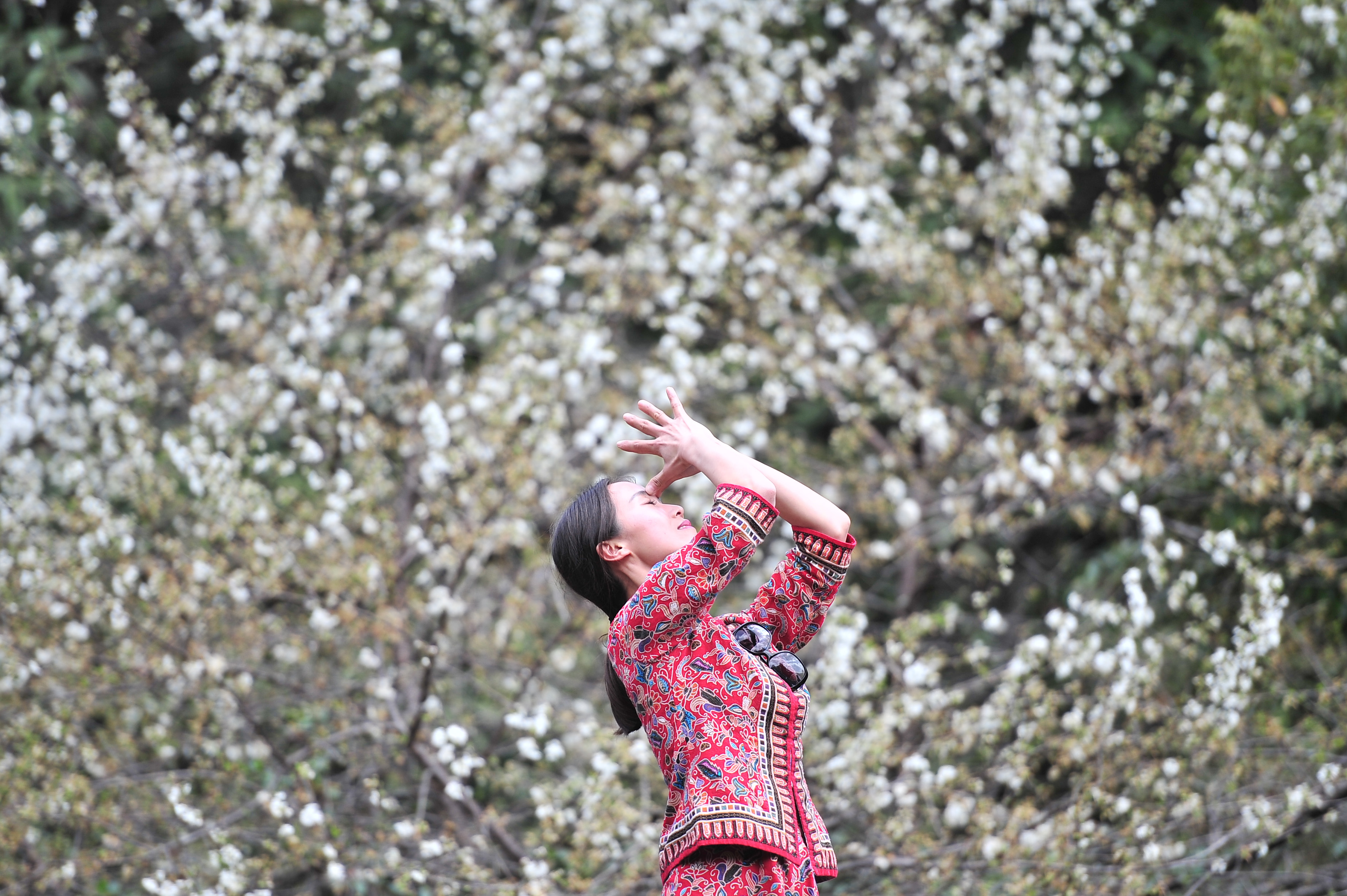 众多网红亮相腾冲 网络直播推介旅游 - 中新网