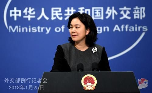 图为华春莹.图片来源:外交部网站.