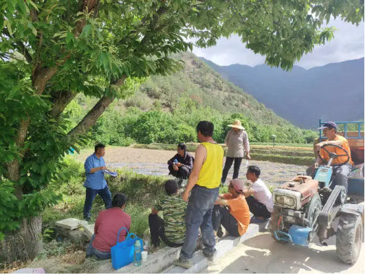 田间课堂。管双权 摄 田间课堂。管双权 摄