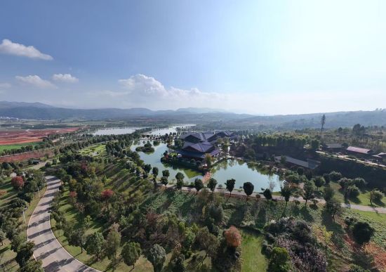 太平湖森林小镇。高吴双 摄 太平湖森林小镇。高吴双 摄