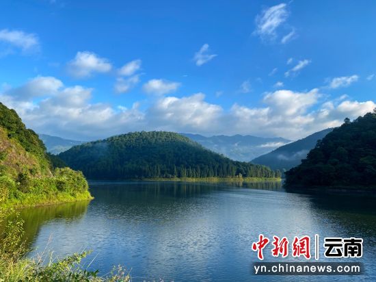 ͼΪ����������ʯͷˮ�⡣