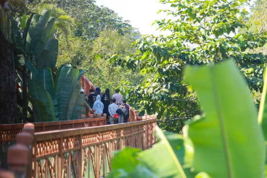 ���ǲ����ڰ�����С�顰����������ꡱջ���ϡ�����˫ ��