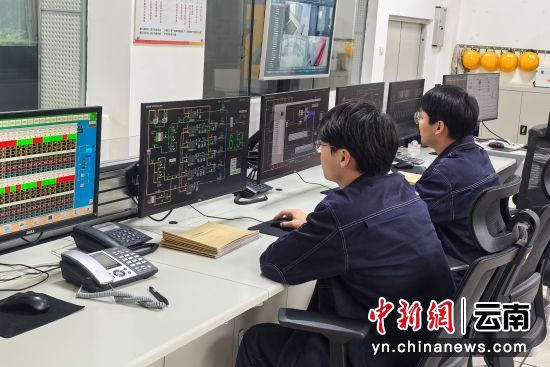 ʵ����Դ����Эͬ���ơ����˽� ��