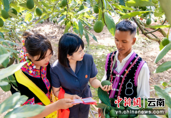 ���������ٽ���ҵ��� ����������Ժ��ͼ