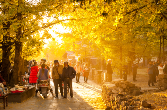 �ڳ�����С�� ͼԴ�����Ϸ���