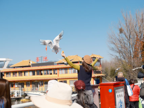 �ο��ڵ���������Ÿ���� ��˼�� ��