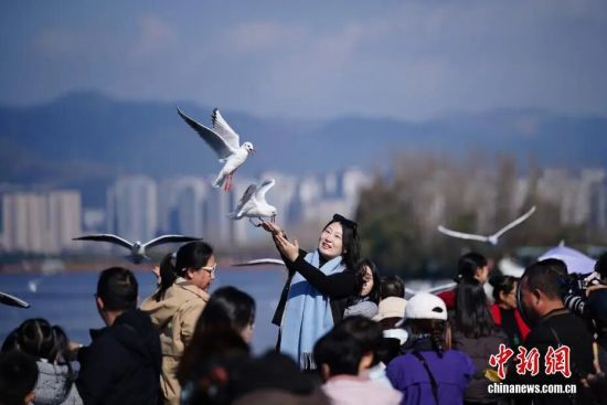 ��������� ��Ƚ�� ��