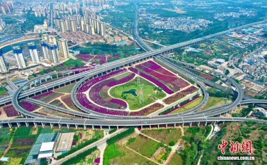 图为宜良县三角梅主题公园。 宜良县林草局 供图 图为宜良县三角梅主题公园。 宜良县林草局 供图