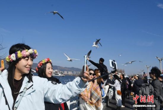 1月25日,游客在昆明海埂大坝打卡。 黄兴鸿 摄 1月25日,游客在昆明海埂大坝打卡。 黄兴鸿 摄