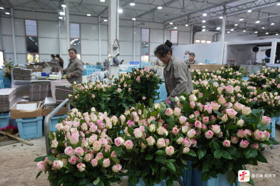 云新闻资料图 云新闻资料图