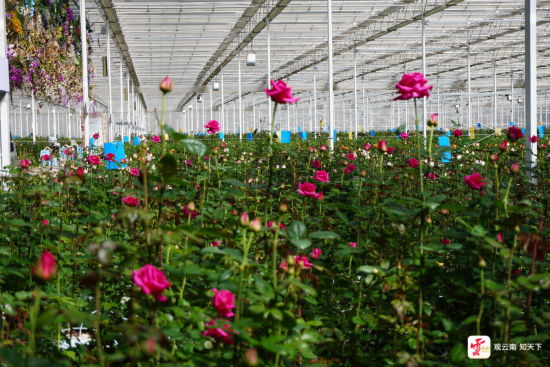 云新闻资料图 云新闻资料图