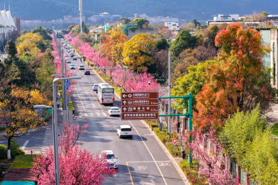 胡妤雅 摄 胡妤雅 摄