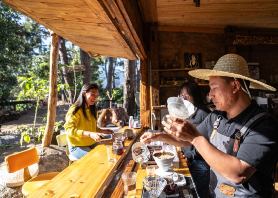 咖啡师(右)在云南省临沧市临翔区邦东乡昔归村昔归咖啡庄园为顾客制作咖啡。图源:新华社 咖啡师(右)在云南省临沧市临翔区邦东乡昔归村昔归咖啡庄园为顾客制作咖啡。图源:新华社