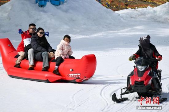 1��29�գ��ο�������ʡ���������������������������ѩ��Ŀ������ ��