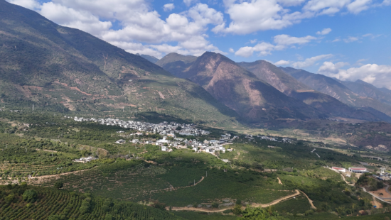 被咖啡环绕的新寨村。杨艳鹏 摄 被咖啡环绕的新寨村。杨艳鹏 摄