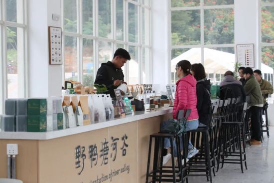 游客在普洱市野鸭塘河谷咖啡庄园体验咖啡产品。高吴双 摄 游客在普洱市野鸭塘河谷咖啡庄园体验咖啡产品。高吴双 摄