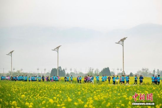 ����3��15�գ�2026������ƽ���������ɿ��ܣ������Ǵ����ڻ���֮�С�������ί�� ��ͼ