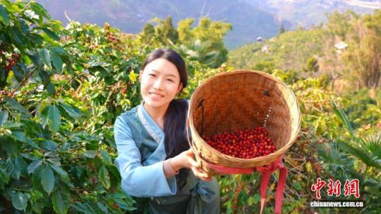 ������ɣ��չʾ���ϱ�ɽ�Ŀ��ȶ������� ��