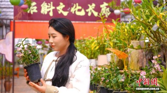 ������ɣ�������������������� ��