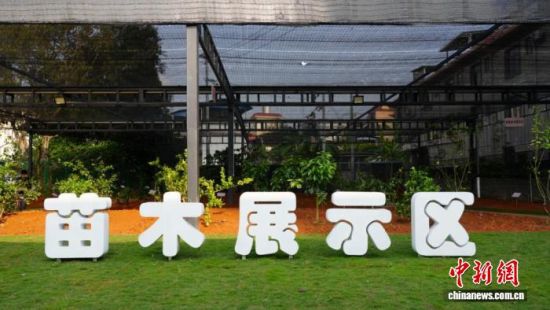 ����3��18�գ��º������������ǡ��������ȴ������������罻�����ĵ���ľչʾ��������������ý������ ��ͼ