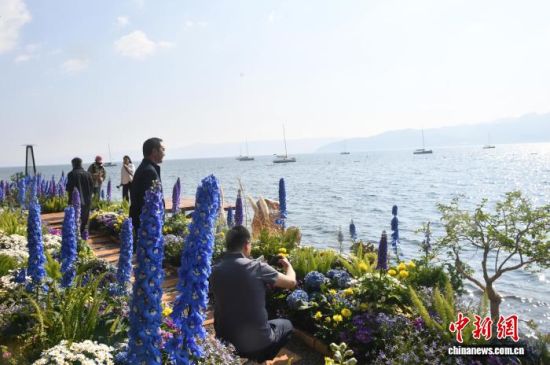 ����3��31�գ�ר�ҷ������ڳν�����ũ�����ںϡ������˺� ��