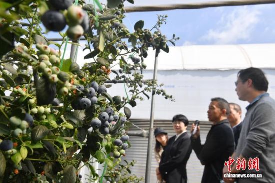 ����3��31�գ�ר�ҷ������ڳν�������ݮ��ҵ�������˺� ��