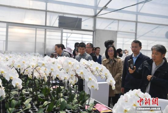 ����3��30�գ�ר�ҷ������ڽ������л��ܲ�ҵ�������˺� ��