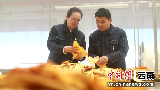 代斌杰为贺丹锋讲解分级知识。屠鸿瑞摄 代斌杰为贺丹锋讲解分级知识。屠鸿瑞摄