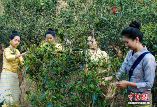 ����ͼΪ����ɽ��ũ�ɲ衣����������ý������ ��ͼ