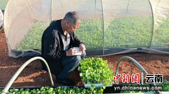 ͼΪ��վְ����չ����������鹤���������� ��