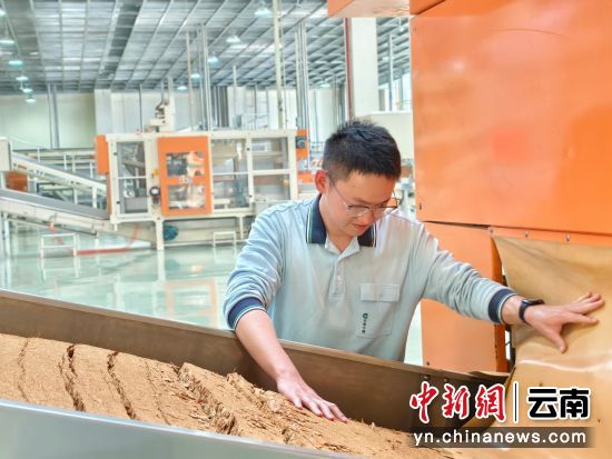 图2.赵洋在查看切片情况。毛鑫 摄 图2.赵洋在查看切片情况。毛鑫 摄