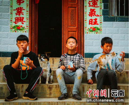 ͼΪ2019�꣬���춫(��)�ͻ������ϸϸ�����ܺ���ţ�̡�