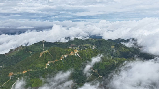 麻栗坡生态 麻栗坡老山省级自然保护区 供图 麻栗坡生态 麻栗坡老山省级自然保护区 供图