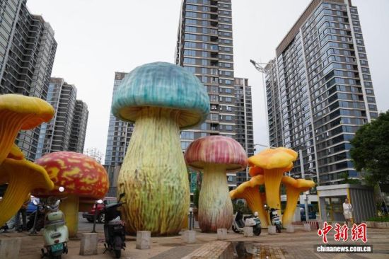 7月25日,云南昆明一街区以野生菌为主题打造特色景观,巨型牛肝菌、鸡枞、松茸等装置成为街头新景。 中新网记者 刘冉阳 摄 7月25日,云南昆明一街区以野生菌为主题打造特色景观,巨型牛肝菌、鸡枞、松茸等装置成为街头新景。 中新网记者 刘冉阳 摄