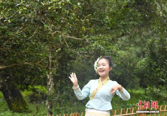 叶仙婉演绎《爱护家园景迈山》。 黄兴鸿 摄 叶仙婉演绎《爱护家园景迈山》。 黄兴鸿 摄