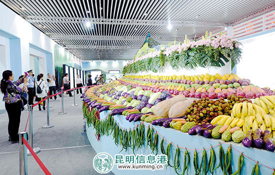 云南高原特色农产品将销往东南亚南亚国家 - 中