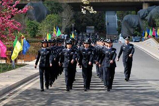 8所公安普通高等院校2016年在滇招生943人 -