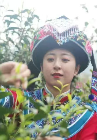ǧ硱ӭ輾