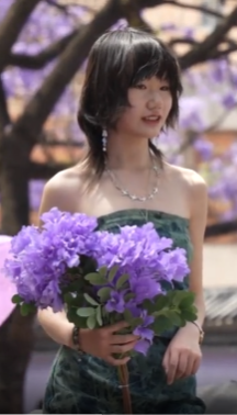 昆明蓝花楹进入盛花期 五一假期引客“紫色浪漫”