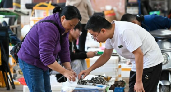 时鲜野生菌供销进入尾声