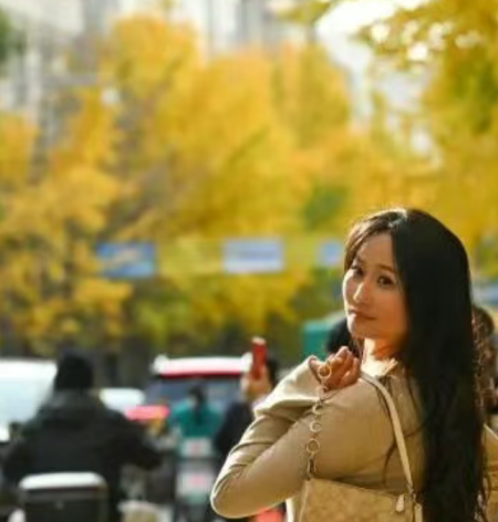 昆明街头“金色大片”已上线