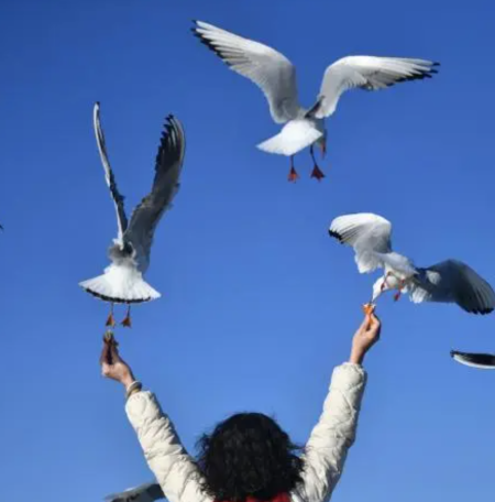 ���������ϡ�����������������Ÿ