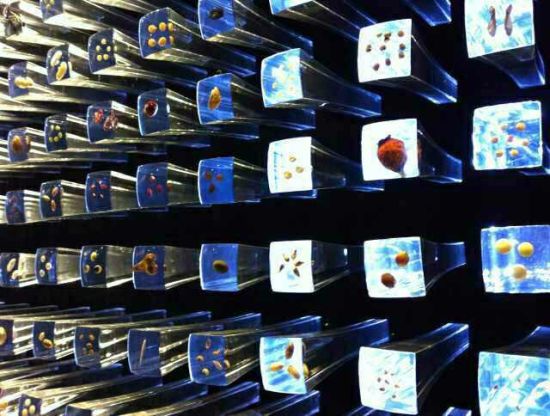 云南生物公司将借助挪威技术建立动植物基因库