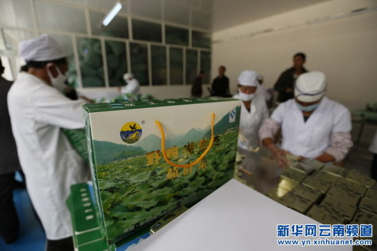 合作股份为空壳村注入新活力 - 中新网云南频