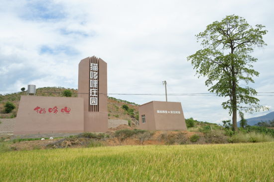 好吃的猫哆哩玩场多--记玉溪新平宽带乡村第