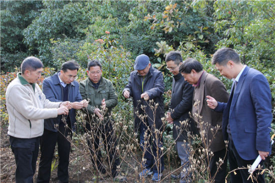 南涧县委书记吉向阳,维和药业董事长王维和,国泰君安创新投资有限公司