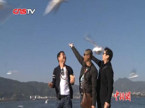 ����ŰŸ�¼�Ƶ�� ר������������ſ���Ÿ��