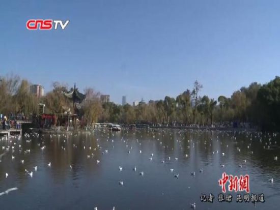 ������50����������ѩ�໬��ײ ���۱�����̱����·����