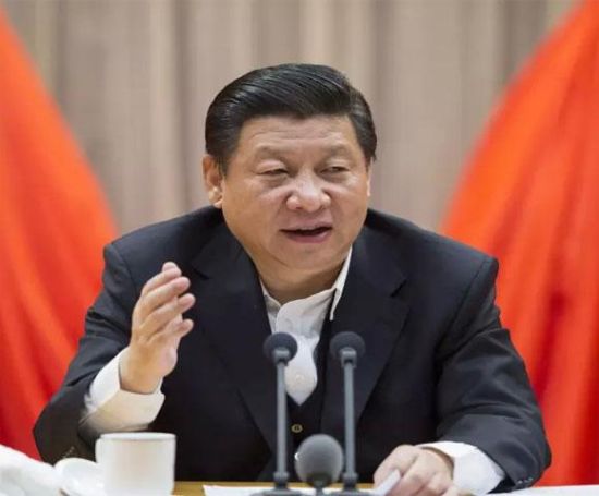 习近平提出改革评价新标准 - 中新网云南频道